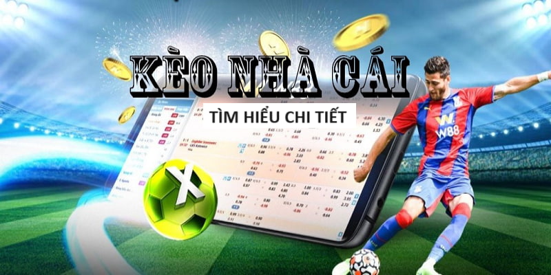 cwin-Chơi casino trực tuyến - Hòa mình vào niềm vui!